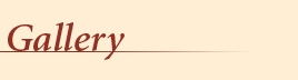 Gallery Gallery